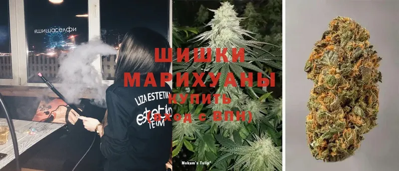 Канабис OG Kush  Видное 